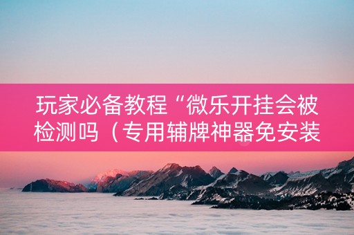 玩家必备教程“微乐开挂会被检测吗（专用辅牌神器免安装）