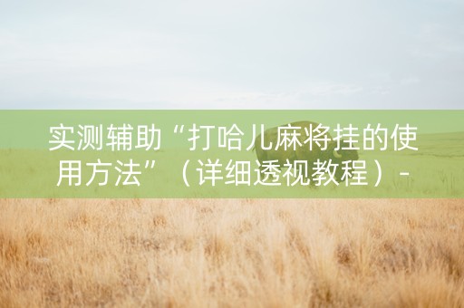 实测辅助“打哈儿麻将挂的使用方法”（详细透视教程）-哔哩哔哩