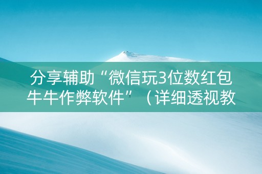分享辅助“微信玩3位数红包牛牛作弊软件”（详细透视教程）-哔哩哔哩