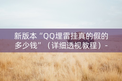 新版本“QQ埋雷挂真的假的多少钱”（详细透视教程）-哔哩哔哩