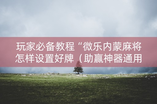 玩家必备教程“微乐内蒙麻将怎样设置好牌（助赢神器通用版）