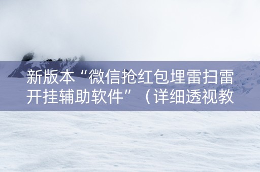 新版本“微信抢红包埋雷扫雷开挂辅助软件”（详细透视教程）-哔哩哔哩