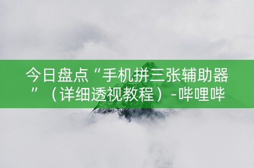 今日盘点“手机拼三张辅助器”（详细透视教程）-哔哩哔哩