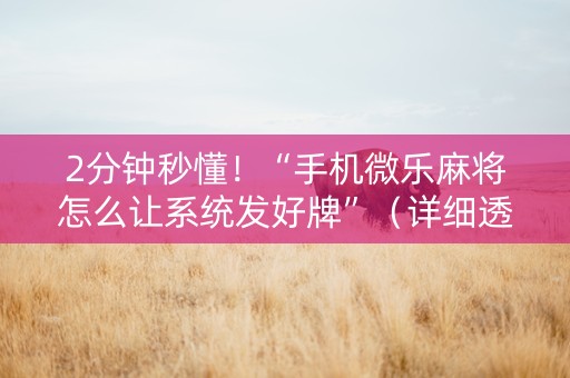 2分钟秒懂！“手机微乐麻将怎么让系统发好牌”（详细透视教程）-哔哩哔哩