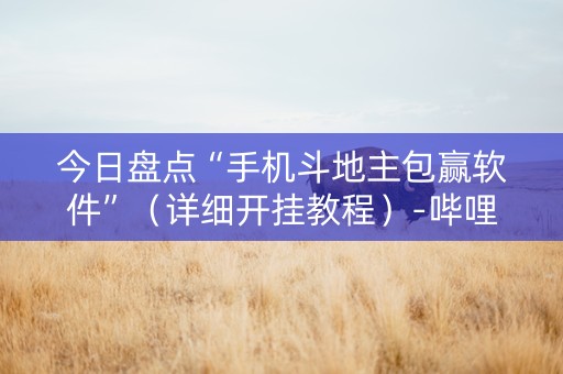今日盘点“手机斗地主包赢软件”（详细开挂教程）-哔哩哔哩