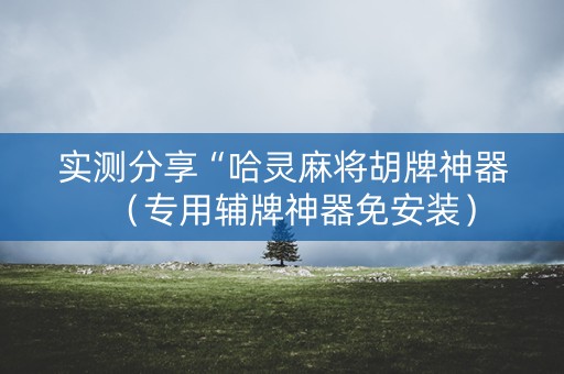 实测分享“哈灵麻将胡牌神器（专用辅牌神器免安装）