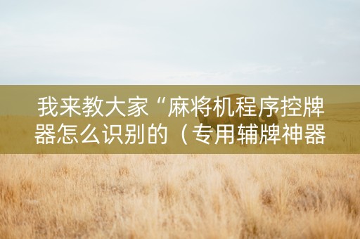 我来教大家“麻将机程序控牌器怎么识别的（专用辅牌神器免安装）