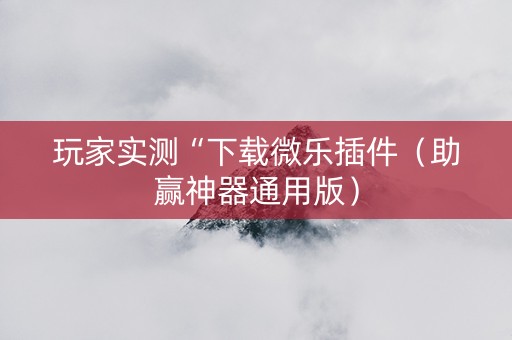 玩家实测“下载微乐插件（助赢神器通用版）