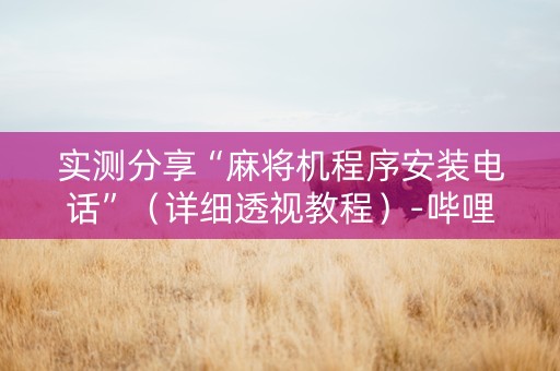 实测分享“麻将机程序安装电话”（详细透视教程）-哔哩哔哩