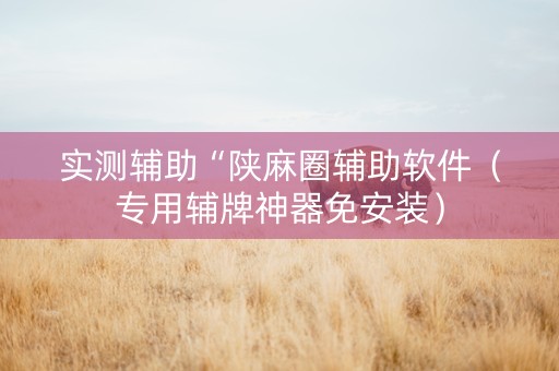 实测辅助“陕麻圈辅助软件（专用辅牌神器免安装）