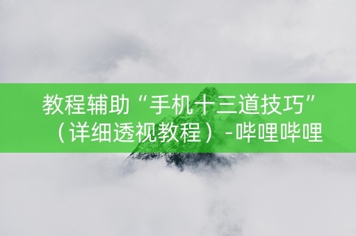 教程辅助“手机十三道技巧”（详细透视教程）-哔哩哔哩