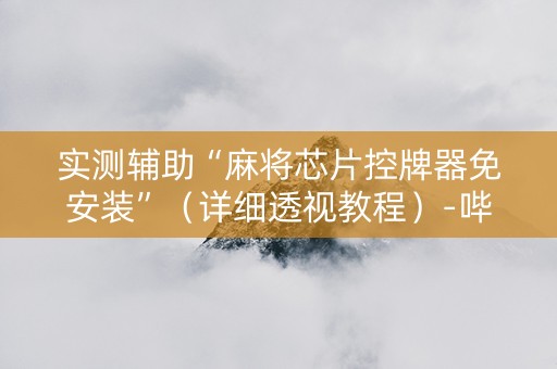实测辅助“麻将芯片控牌器免安装”（详细透视教程）-哔哩哔哩