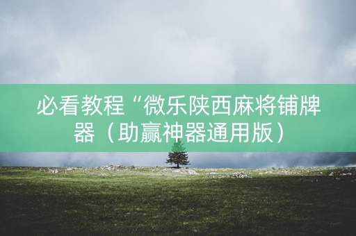 必看教程“微乐陕西麻将铺牌器（助赢神器通用版）