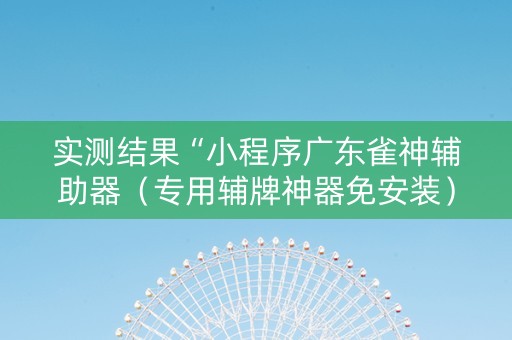 实测结果“小程序广东雀神辅助器（专用辅牌神器免安装）