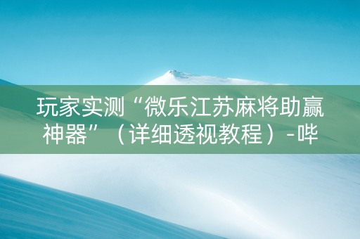 玩家实测“微乐江苏麻将助赢神器”（详细透视教程）-哔哩哔哩