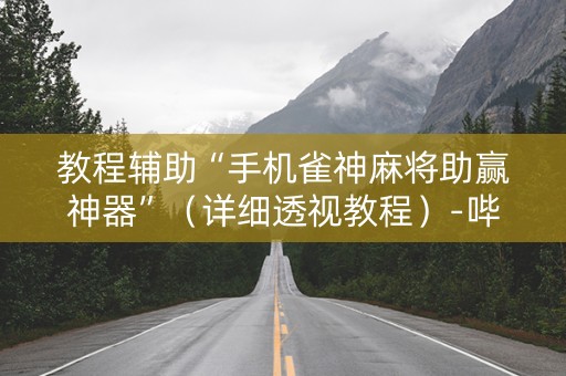 教程辅助“手机雀神麻将助赢神器”（详细透视教程）-哔哩哔哩