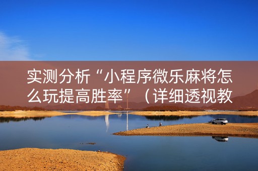 实测分析“小程序微乐麻将怎么玩提高胜率”（详细透视教程）-哔哩哔哩