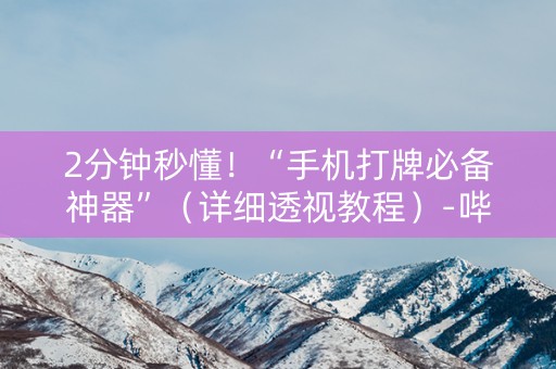 2分钟秒懂！“手机打牌必备神器”（详细透视教程）-哔哩哔哩