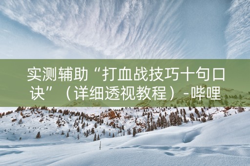 实测辅助“打血战技巧十句口诀”（详细透视教程）-哔哩哔哩
