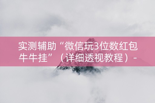 实测辅助“微信玩3位数红包牛牛挂”（详细透视教程）-哔哩哔哩