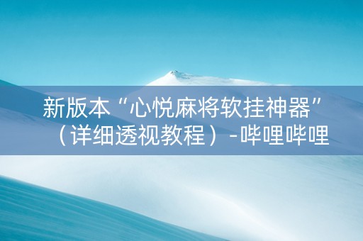 新版本“心悦麻将软挂神器”（详细透视教程）-哔哩哔哩