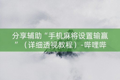 分享辅助“手机麻将设置输赢”（详细透视教程）-哔哩哔哩