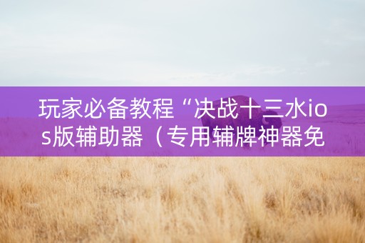玩家必备教程“决战十三水ios版辅助器（专用辅牌神器免安装）