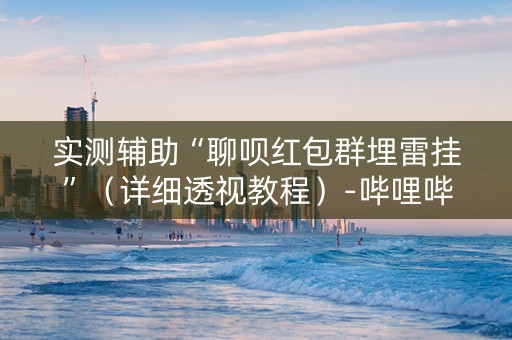 实测辅助“聊呗红包群埋雷挂”（详细透视教程）-哔哩哔哩