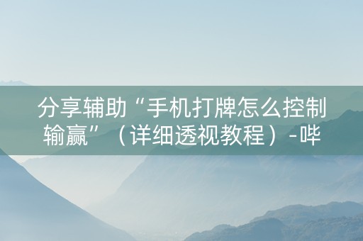 分享辅助“手机打牌怎么控制输赢”（详细透视教程）-哔哩哔哩