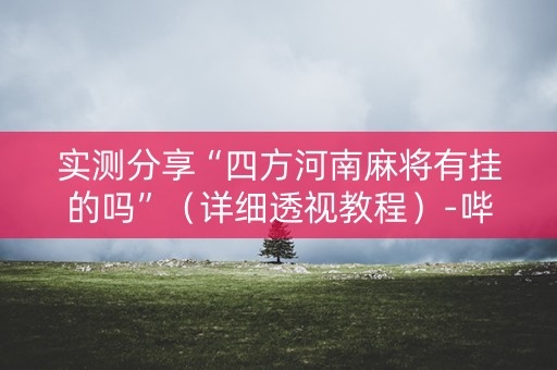 实测分享“四方河南麻将有挂的吗”（详细透视教程）-哔哩哔哩