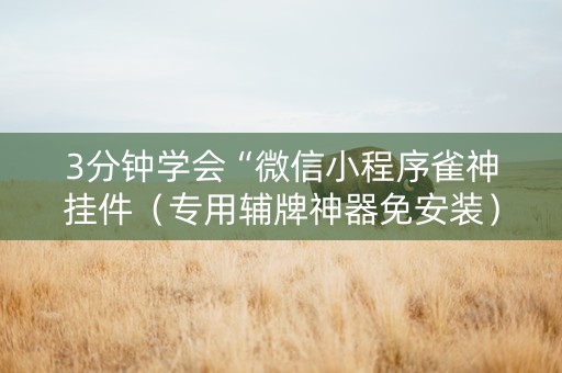 3分钟学会“微信小程序雀神挂件（专用辅牌神器免安装）