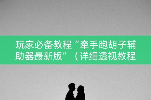玩家必备教程“牵手跑胡子辅助器最新版”（详细透视教程）-哔哩哔哩