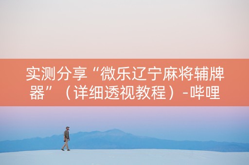 实测分享“微乐辽宁麻将辅牌器”（详细透视教程）-哔哩哔哩