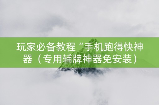 玩家必备教程“手机跑得快神器（专用辅牌神器免安装）