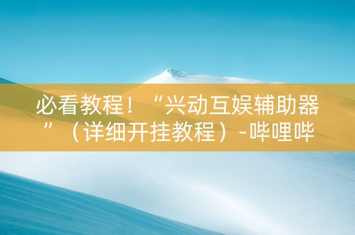 必看教程！“兴动互娱辅助器”（详细开挂教程）-哔哩哔哩