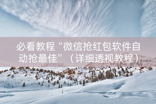 必看教程“微信抢红包软件自动抢最佳”（详细透视教程）-哔哩哔哩