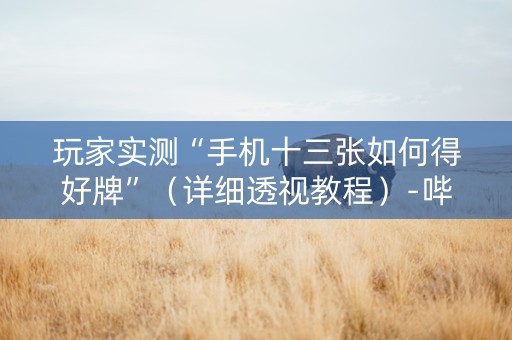 玩家实测“手机十三张如何得好牌”（详细透视教程）-哔哩哔哩