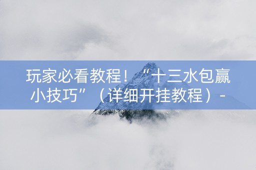 玩家必看教程！“十三水包赢小技巧”（详细开挂教程）-哔哩哔哩