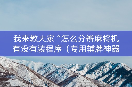 我来教大家“怎么分辨麻将机有没有装程序（专用辅牌神器免安装）