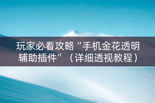 玩家必看攻略“手机金花透明辅助插件”（详细透视教程）-哔哩哔哩