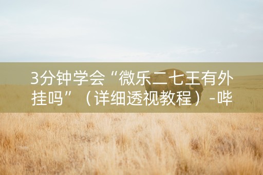3分钟学会“微乐二七王有外挂吗”（详细透视教程）-哔哩哔哩
