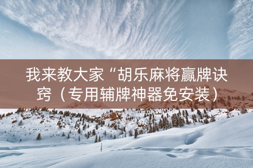 我来教大家“胡乐麻将赢牌诀窍（专用辅牌神器免安装）