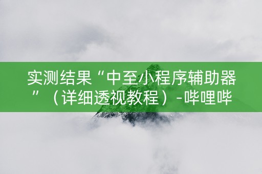 实测结果“中至小程序辅助器”（详细透视教程）-哔哩哔哩