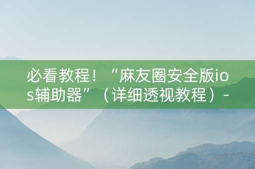必看教程！“麻友圈安全版ios辅助器”（详细透视教程）-哔哩哔哩