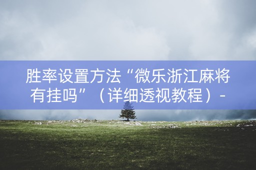 胜率设置方法“微乐浙江麻将有挂吗”（详细透视教程）-哔哩哔哩