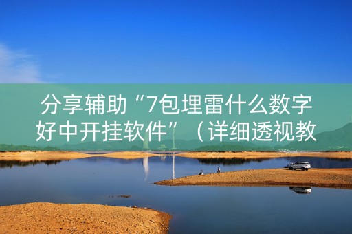 分享辅助“7包埋雷什么数字好中开挂软件”（详细透视教程）-哔哩哔哩