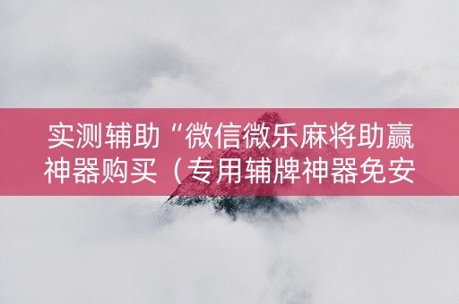 实测辅助“微信微乐麻将助赢神器购买（专用辅牌神器免安装）
