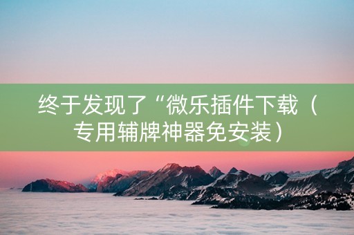 终于发现了“微乐插件下载（专用辅牌神器免安装）