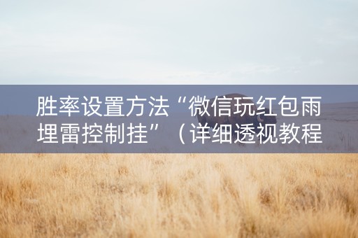 胜率设置方法“微信玩红包雨埋雷控制挂”（详细透视教程）-哔哩哔哩
