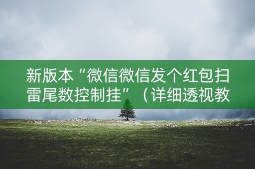 新版本“微信微信发个红包扫雷尾数控制挂”（详细透视教程）-哔哩哔哩